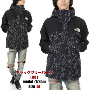 ザ・ノース・フェイス ノベルティ マウンテンライトジャケット ゴアテックス メンズ レディース THE NORTH FACE Mountain Light Jacket GORE-TEX ノースフェイス マウンテンジャケット マウンテンパーカ