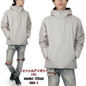 m[XtFCX SAebNX }Eep[J[ Y fB[X THE NORTH FACE GTX AXION INSULATED JACKET Um[XtFCX GORE-TEX ANV CT[ebh WPbg }EeWPb