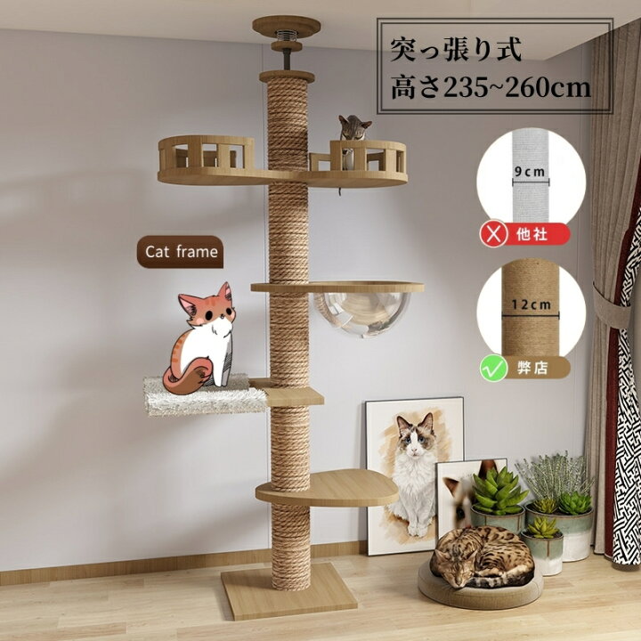 楽天市場】キャットタワー 突っ張り 高さ235cm~260cm 木製 キャット 