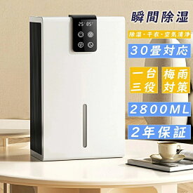 ＼楽天1位★2025新製品★限定P5！／衣類乾燥機 乾燥機 除湿機 除湿器 静音小型 空気清浄機 ペルチェ式 除湿器 コンパクト電気代 省エネ 30畳 最適な カビ対策 自動停止 衣類 湿気 カビ防止 洗濯物 部屋 室内干し LEDスクリーン PSE認証済 台所/自宅/面台