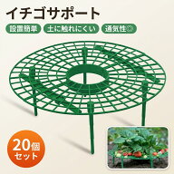 【設置簡単】イチゴ棚 20個セット 支柱 イチゴサポート ストロベリーサポート いちご植え支柱 円形 軽量…