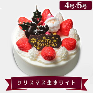 yX'masP[L͓XzNX}X zCg 4(2`4lO)E5(4`6lO) NX}X P[L p[eB v[g Mtg