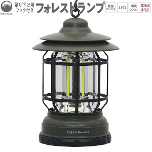 Field to Summit �t�b�N�t���t�H���X�g���C�g FTSLFT �d�r�� LED �݂艺��