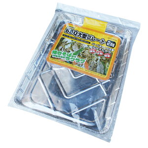 Field to Summit BBQ��^�v���[�g2p