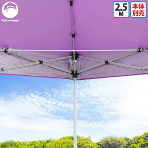 Field to Summit �e���g�⋭�t���[���Z�b�g 2.5M�p 2�{�Z�b�g �����^�b�` �e���g �^�[�v ���� ���� ��v ������