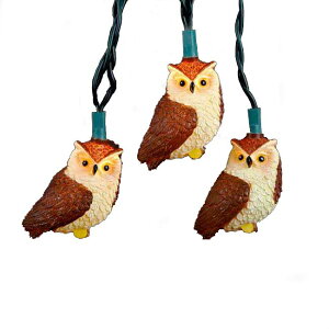 Brown Owl Party String Light Set 10 tNE XgOCg NX}X C~l[V d ӂ낤 p[eB[ AJ K[fCg K[hCg AJ AJG A