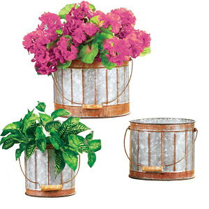 Rustic Metal Planters Set 咆 3Zbg  v^[ Tr K uL nEXvc GNXeA ϗtA 񂹐A MUO K[fjO K[f garden | Aؔ WN A