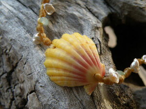 Beach Girl Jewels �gNorth Shore Sunrise Shell Bracelet�h �r�[�`�K�[�� �T�����C�Y�V�F�� �n���C�u���X���b�g ���R�K�[�� �T�[�t �T�[�t�@�[ �A���n �W���G���[ �t���_���X �n���h���C�h �n���C���A�� Haw