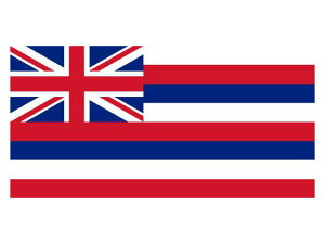HAWAI FLAG 3f×5f 152cm nC tbO  nCB nCA AJ ͂ nCG nCAG