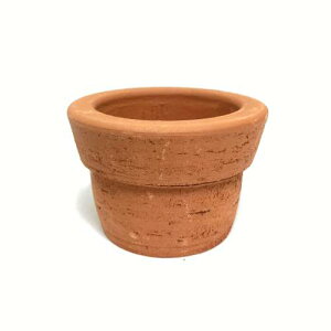 eRb^|bg fĔ A 񂹐A  nEXvc GNXeA K[fjO garden |  ~j i` AJ AJ AJG AJG