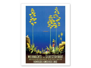 Vintage Worldwide Posters Hamburg America Line re[W GAC nuN E̍L |X^[  AJ g A[gvg AJG AJG݁yNlR䂤pPbgz