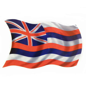 Hawaiian Decal Hawaiian Flag nC  B nCB tbO XebJ[ fJ[ V[ AJ nCA nCG nCAG yNlR䂤pPbgz