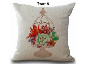 A&T{eNbV g 45×45 Cactus JN^X T{e A A succulent {^jJ l \t@[ NbV ͗lւ CeA AJ