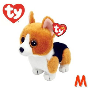 Ty Beanie Babies COLIN (M) ^C r[j[xCr[Y R  hbO ʂ MTCY R[M[ uE l` 킢  a v[g CeA Mtg ty TY