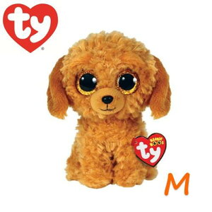 Ty Beanie Boo's NOODLES (M) タイ ビーニーブーズ ヌードルズ 犬 いぬ イヌ プードル トイプードル ぬいぐるみ Mサイズ 人形 かわいい 動物 誕生日 プレゼント インテリア ギフト ty TY