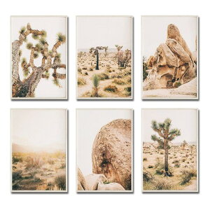 Desert Wall Art Print 6���Z�b�g ���� �E�H�[���A�[�g �v�����g �z �L�����p�X �|�X�^�[ �W���V���A�c���[ �A���]�i �T�{�e�� �r�� �ʐ^ �A�����J �X�� �A�[�g�|�X�^�[ ������� �A�����J�G�� �A��