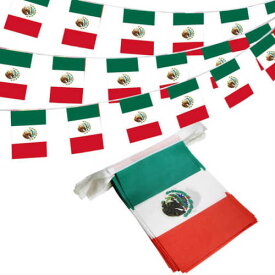 Mexico String Pennant Banners メキシコ ストリング ペナント バナー フラッグ 10メートル 旗 国旗 イベント 店舗 バー メキシコ料理店 メキシカン メヒコ ガレージ 倉庫