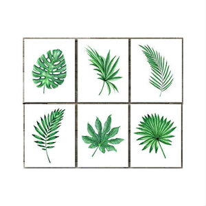 Tropical Leaves Wall Decor Art Prints 6���Z�b�g �g���s�J�� ���[�t �E�H�[�� �A�[�g �v�����g �A�����J���_�C�i�[ �|�X�^�[ Botanical �{�^�j�J�� �A�����J ���X�g���� �A�����J �X�� �A�[�g�|�X�^�[ �C