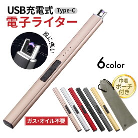 チャッカマン 電子ライター プラズマライター usb充電