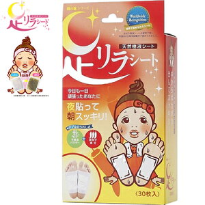 V[g hq 30  VRtV[g tbgPA bNX ނ N~ r