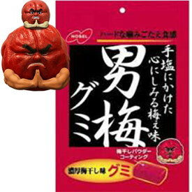 男梅グミ 38g×6袋 ＊ノーベル製菓 男梅 お菓子 ガム グミ ソフトキャンディ