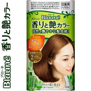 白髪染め 茶色 ヘアカラー 通販 価格比較 6ページ目 価格 Com