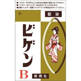 ビゲンB 自然な黒褐色 6g ＊医薬部外品 ホーユー Bigen ヘアカラー 白髪染め 白髪隠し