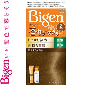 �r�Q�� ����̃w�A�J���[ ���t 2- ��薾�邢���C�g�u���E�� 40g+60mL ����򕔊O�i �z�[���[ Bigen �w�A�J���[ �������� �����B��