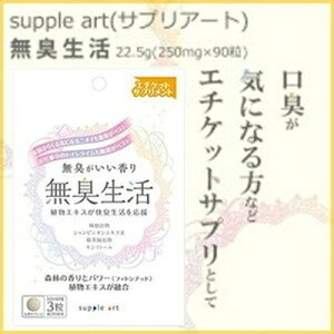 L 90 TvA[g/VsjIA`oȂǂzG`PbgTvg ֏LȀLALALȂǂCɂȂT|[g