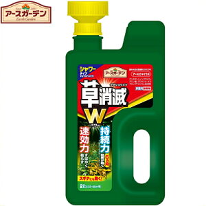 A[XK[f A[XJ}CY WEwbh 2L A[X/܂ȒPȉt̃V[^Cv̏/t/2`3Ōnߖ4-6ԎG̔ɐB}܂/XM