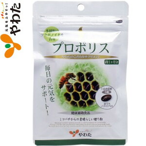 킽 wXT|[g v|X 90 Y/r^~Cer^~/~l/yf/t{mCh/܂/[J/|v/~co`/v|X𑃂ɓhOG̐NGۂ̔