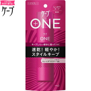 P[v ONE L[v  80g ԉ P[v wAPA X^CO wAXv[