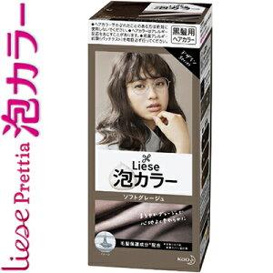 シャンプー 泡カラー Liese ヘアカラー 通販 価格比較 価格 Com