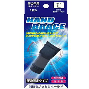 nhuCX T|[^[ ̍bp LTCY 1 V T|[^[ ֐  