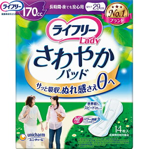 Ct[ ₩pbh ԁEłSp p 170cc 14 jE`[ Ct[ փpbh zpbh Apbh ivL
