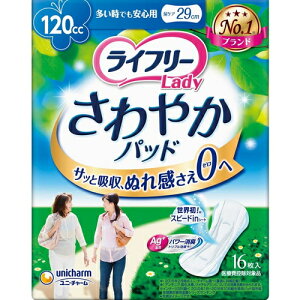 Ct[ ₩pbh łSp p 120cc 16 jE`[/fzAS/L|}[z/^񒆂ӂz