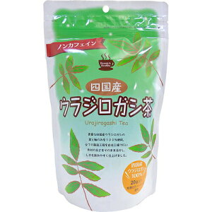 四国産 ウラジロガシ茶 100g ＊小川生薬 健康茶 カテキン 食物繊維