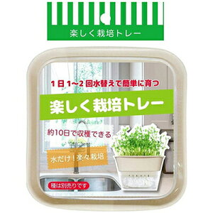 y͔|g[ 1 vjO K[fjO | 엿 t py