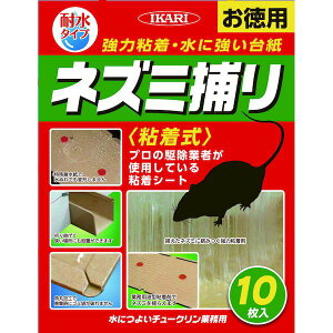 ɋ`[NƖp SlY~߂ 10×20Zbg CJ/v̋쏜Ǝ҂gpĂSV[g/ɔGĂ_炩ȂȂϐ䎆Ɣgn̔S/ݒuꏊ