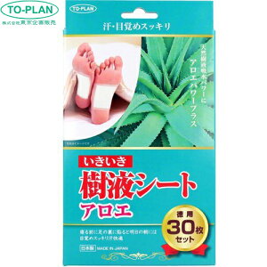 gv tV[g AG 30 ̔ TO-PLAN tbgPA bNX ނ N~ r