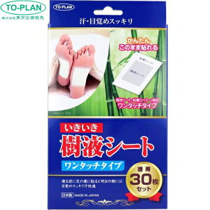 gv tV[g ^b`^Cv 30 ̔ TO-PLAN tbgPA bNX ނ N~ r