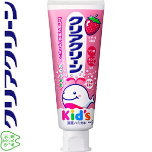 pNAN[ LbY C`S 70g 򕔊Oi ԉ Clear Clean I[PA f^PA \h ݂  