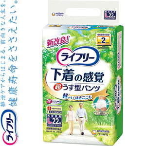 Ct[ ^opc 2 LTCY 22 jE`[ Ct[ pi ֗pi lpނ Ic pc^Cv