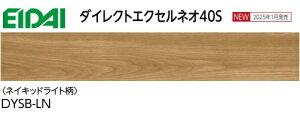 y2025N1zEIDAI iYƁ@}V\pt[O@_CNgGNZlI40S DYSB-LN@lCLbh@Չ\LL(I)-5(LL-40)NA TCY 13.6x145x900mm/1P[X24 3.13
