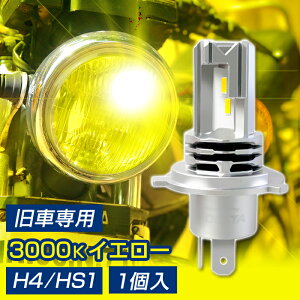 oCNp LED wbhCg H4/HS1 Ԑp CG[ 80's J[ (1) DC12Vp 3000K 2֗p