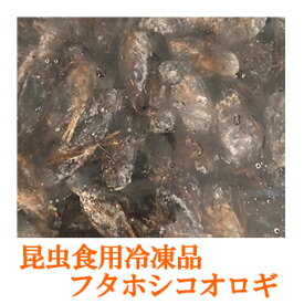 昆虫食調理用 【冷凍昆虫】 フタホシコオロギ 1kg