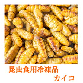 昆虫食調理用 【冷凍昆虫】 カイコのサナギ 100g