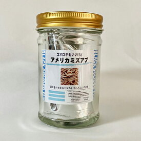 【自動販売機 販売可能 瓶付き】 アメリカミズアブ 乾燥 昆虫食 昆虫食入門