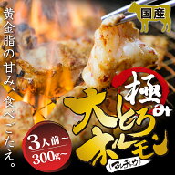 国産 牛 極上 大トロ ホルモン ( マルチョウ ) 300g 500g 700g 附属タレ付き ◆選べる「タレ揉み・牛シロ…