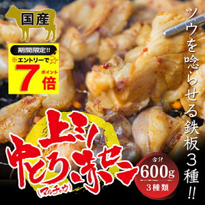 _Gg[P7{^ Y  gz ( }`E ) E~mEԃZ3 ~bNX z 600g e200g ^t  ① Ε ~ Mtg j yԗDǃVbv6